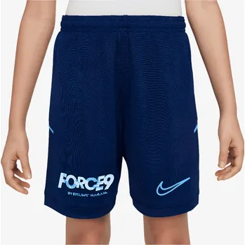 Pánské kraťasy Nike EH K NK DF ACD25 SHORT -PD M 1163955