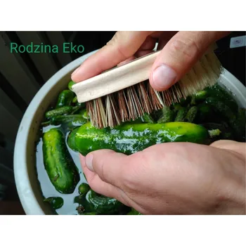 Kartáč na nádobí KARTÁČ NA MYTÍ ZELENINY Z VLÁKEN AGÁVE A UNION - STARMANN