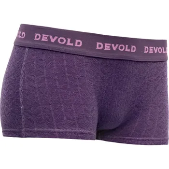 Dámské termoprádlo Dámské funkční spodky Devold DUO ACTIVE HIPSTER - galaxy / L