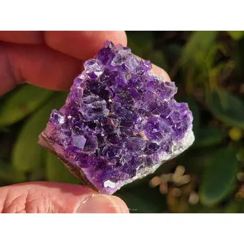 Sběratelství Ametyst drúza Uruguay 53g