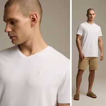 Pánské tričko Pánské tričko s výstřihem do V / výstřih V Diverse velikost L