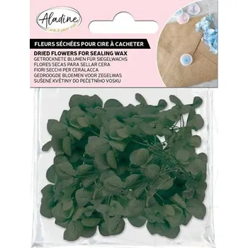 Výtvárné potřeby Aladine 72669 Sušené květiny Green
