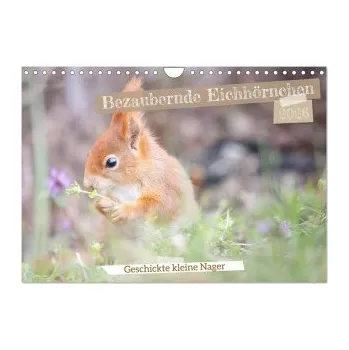 Diář Bezaubernde Eichhörnchen (Wandkalender 2026 DIN A4 quer), CALVENDO Monatskalender (DE)