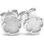 Náušnice z bílého zlata čtyřlístky s perletí na puzetu