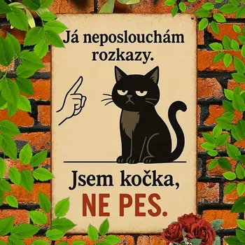 Plechová cedule BAF 2D Plechová cedule Nejsem pes! 30x20 cm