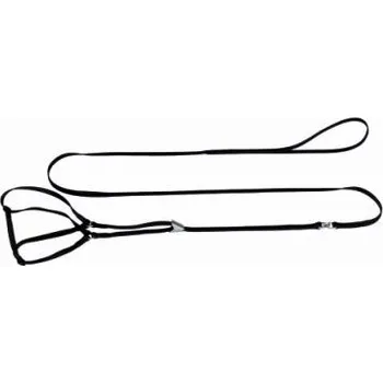 Postroj pro psa Předváděcí postroj s vodítkem červená, Velikost 8/120