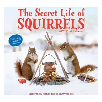 Kalendář CAL 26 SECRET LIFE OF SQUIRRELS (MINI WALL)(Kalendář)