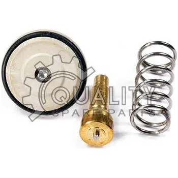 Automobilové těsnění Termostat, chladivo TOPRAN 113 287