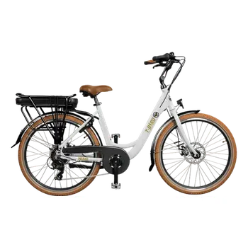 Elektrokolo Městské elektrokolo T-BIRD Miami blanc (Vinka, 518Wh)