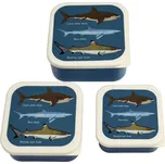 Rex London Sharsk snack boxes (Set of 3)