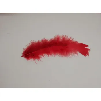 Pštrosí peří 9-16 cm, balíček 10 ks - červená