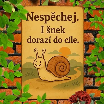 Plechová cedule BAF 2D Plechová cedule Spěchej pomalu 30x20 cm