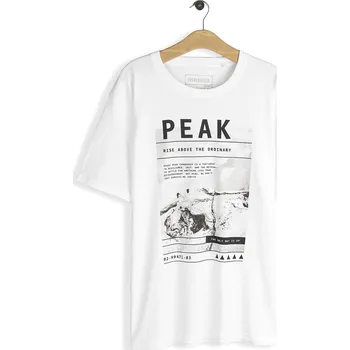 Pánské tričko GATE Bavlněné tričko s potiskem L 525-0129/10