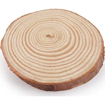Přírodní dřevěné kolečko / podložka Dřevěné přírodní kolečko