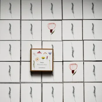 Pexeso Pexeso Rostliny