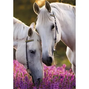 Desky s gumou A4 Cerda