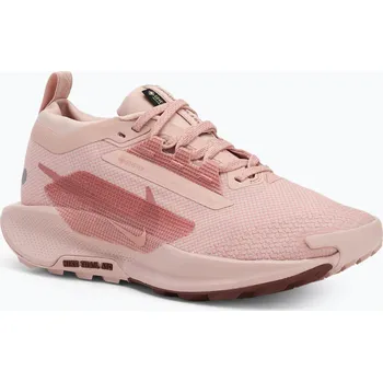 Dámská sportovní obuv Dámské běžecké boty Nike Pegasus Trail 5 GTX pink oxford/ red stardust/ red sepia
