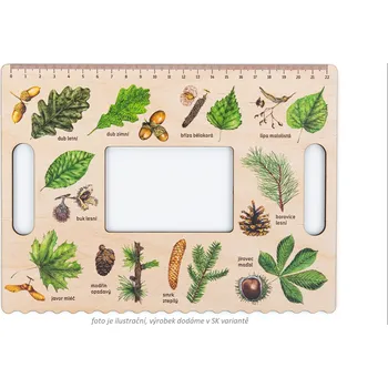 Dřevěná hračka Lesní svět Okienko hravého BÁDATEĽA - Stromy SK