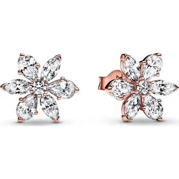 Náušnice PANDORA peckové náušnice Třpytivý shluk rostlin