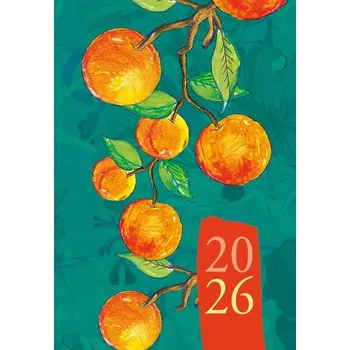 Diář Knižkový diář pro podnikatele 2026 A7 Michalczyk I Prokop vícebarevný