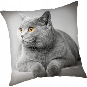 Polštář Povlak Jerry Fabrics 45 x 45 polštáře