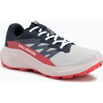 Dámská běžecká obuv Dámské běžecké boty Salomon Alphaglide GTX lunar rock/blue night/rouge red