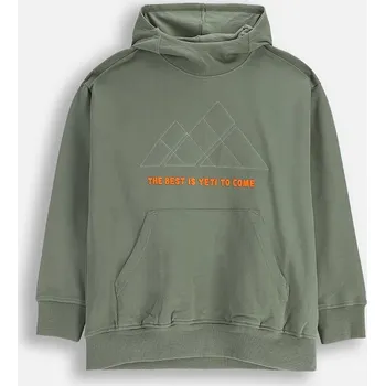 Chlapecká mikina Dětská bavlněná mikina Coccodrillo ZC5132301YBJ zelená 77X, vel. 128