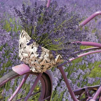 Papírový ubrousek Ubrousky "Levandulové kolo", Máky, 33 cm, 20 ks
