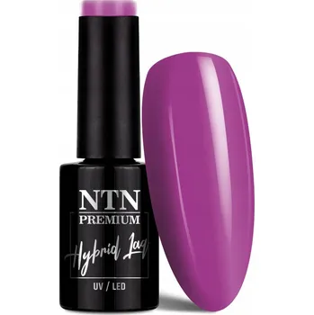 Lak na nehty NTN Premium Hybridní Lak 5 ml - Kolekce Uptown Girl Č. 20