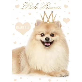 Desky s gumou A4 Cerda