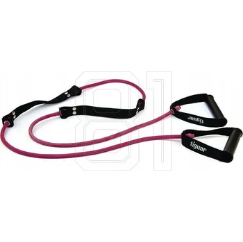 Posilovací guma (expandér) Tiguar Tubing Double Tube 2.0 švestka