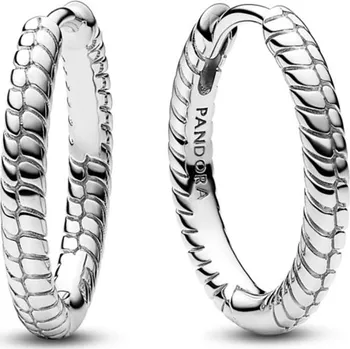 Náušnice PANDORA Malé kruhové stříbrné náušnice na přívěsky Pandora Moments