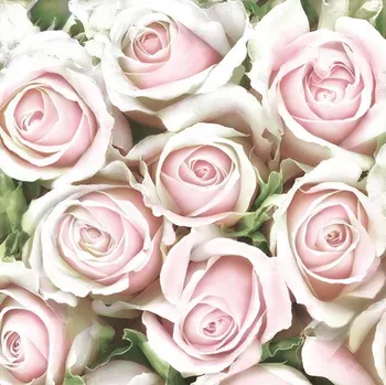 Papírový ubrousek Ubrousky Růže Jemná Světle Růžová 20 ks 33x33 cm