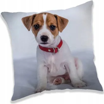 Polštář Polštář 40 x 40 cm dětský