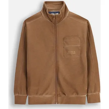 Chlapecká mikina Dětská bavlněná mikina Coccodrillo ZC5132201YBJ hnědá 89X, vel. 158