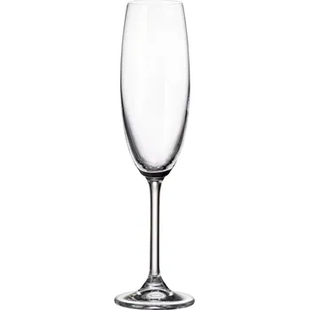 Sklenice Crystalite Bohemia sklenice na šampaňské Colibri 220 ml 2KS