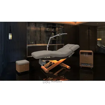 Masážní křeslo SPA Wellness lehátko LUNA ARM PLUS E3 - s vyhříváním a audio/vibračním systémem, teak/světle šedá