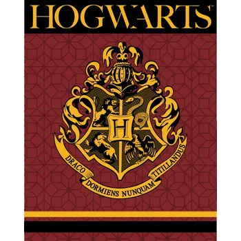 Dětská deka Dečka fleecová deka coral s motivem medvídka HARRY POTTER 120x150