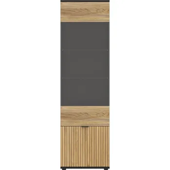 Knihovna LUEN vysoká vitrína REG1W1D/57, univerzální, černá/dub tegola/dub