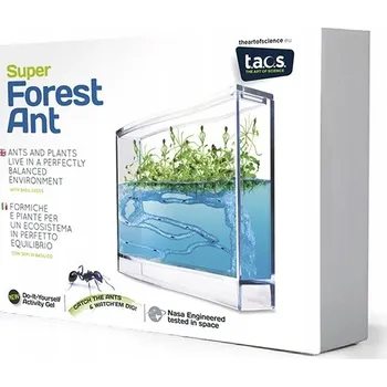 Obraz Umění vědy Ekoterárium Super Forest Ant
