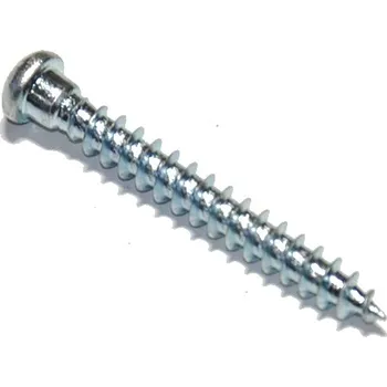 Vrut Vrut do dřeva pro tesařské kování T20 4,8x40 ZB