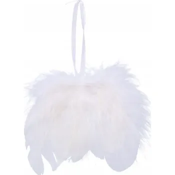 Obraz Andělská křídla 1 kus 8x7 cm