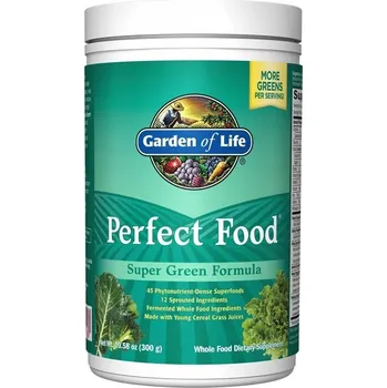 Doplněk stravy Garden of Life Perfect Food prášek 300 g