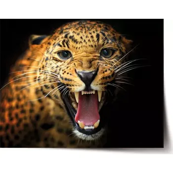 Plakát Sablio Plakát Gepard 2 - 60x40 cm