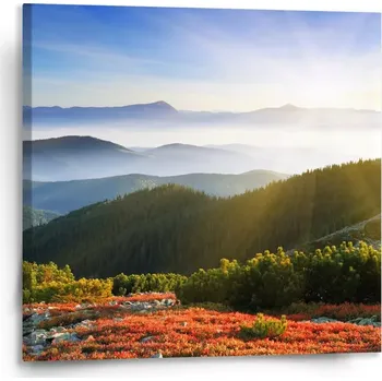 Obraz Sablio Obraz Příroda - 110x110 cm