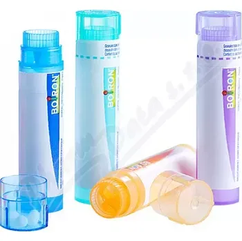 Homeopatikum Asa Foetida 9CH gra.4g