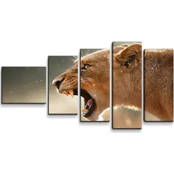Obraz Sablio Obraz - 5-dílný Rozzuřená lvice - 100x60 cm