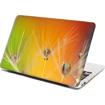 samolepka Sablio Samolepka na notebook Odkvetlé pampelišky 2 - 29x20 cm