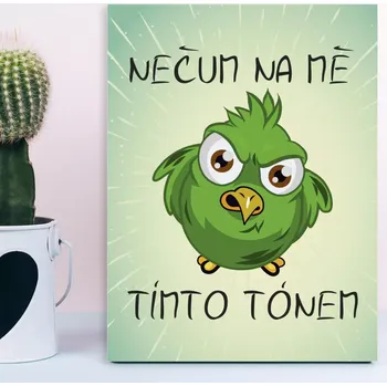 Plechová cedule Sablio Dárková cedulka Nečum na mě tímto tónem: 30x40 cm