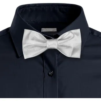 Motýlek KNITVA Pánský předvázaný motýlek MTL1-S 10x5 cm